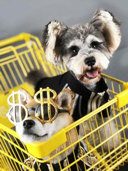 Dog Clothes Spring And Autumn New Sweater Summer