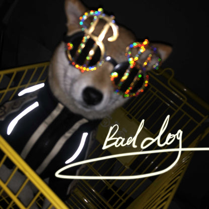 Dog Clothes Spring And Autumn New Sweater Summer