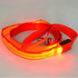 Glowing Pet Leash Glowing Dog LED