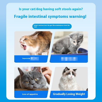 Pet Active Probiotic Tablets 180 Tablets