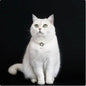 Cat Pet Jewelry Water Drop Pendant Rabbit Necklace