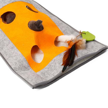 Cat scratching a blanket