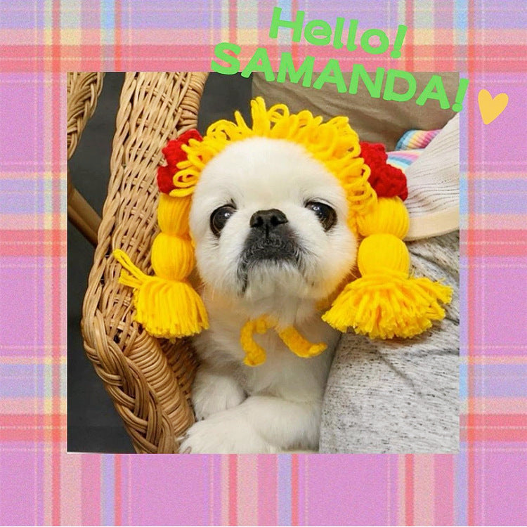 Pomeranian Teddy Dog Funny Cat Headgear