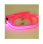 LED Illuminated Traction Nylon Pet Leash