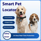 GPS Pet Tracker 4G Netcom Beidou Locator Kitty
