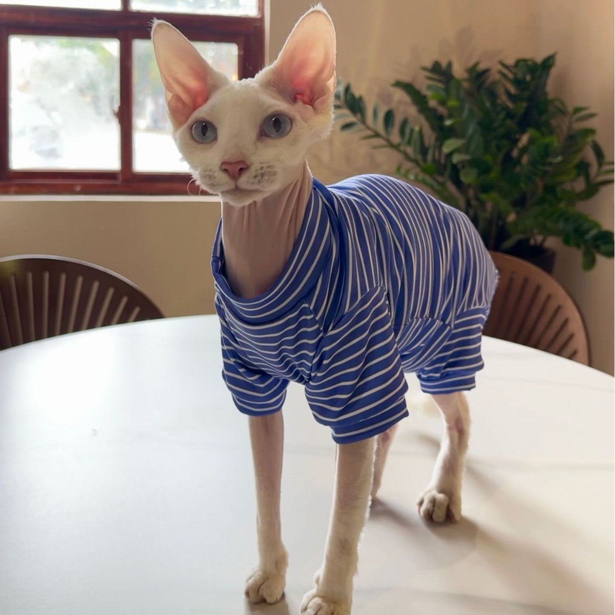 Pet Cool Thin Breathable Cat Four-legged Clothing