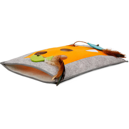 Cat scratching a blanket