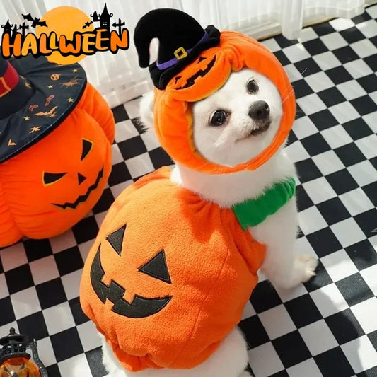 Halloween Pumpkin Vest For Dogs Cats Festive Pet Costume Harness Funny Thanksgiving Christmas Apparel For Small Animals Clothing