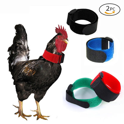 Pet Chicken Collar 2-pack Anti-cock Ringing No Hook Knot Neck Band Christmas Collar