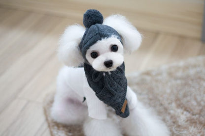 Tide pet clothes dog hat bib suit Teddy Bomei wool scarf autumn winter hat pet scarf