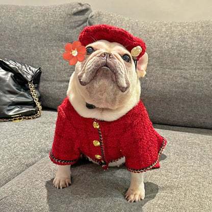 Pet Trendy Brand Popular Clothing