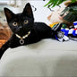 Popular Internet Celebrity Cat Pearl Necklace