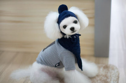 Tide pet clothes dog hat bib suit Teddy Bomei wool scarf autumn winter hat pet scarf