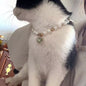 Popular Internet Celebrity Cat Pearl Necklace
