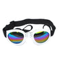 Pet Dog, Cat, Sunglasses, Glasses, Sun Glasses, Big Dog, Sun Visor, Pet Dog, Sunglasses