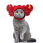 Curly Hair Pet Hat Cat Funny Dress Up Pet Products