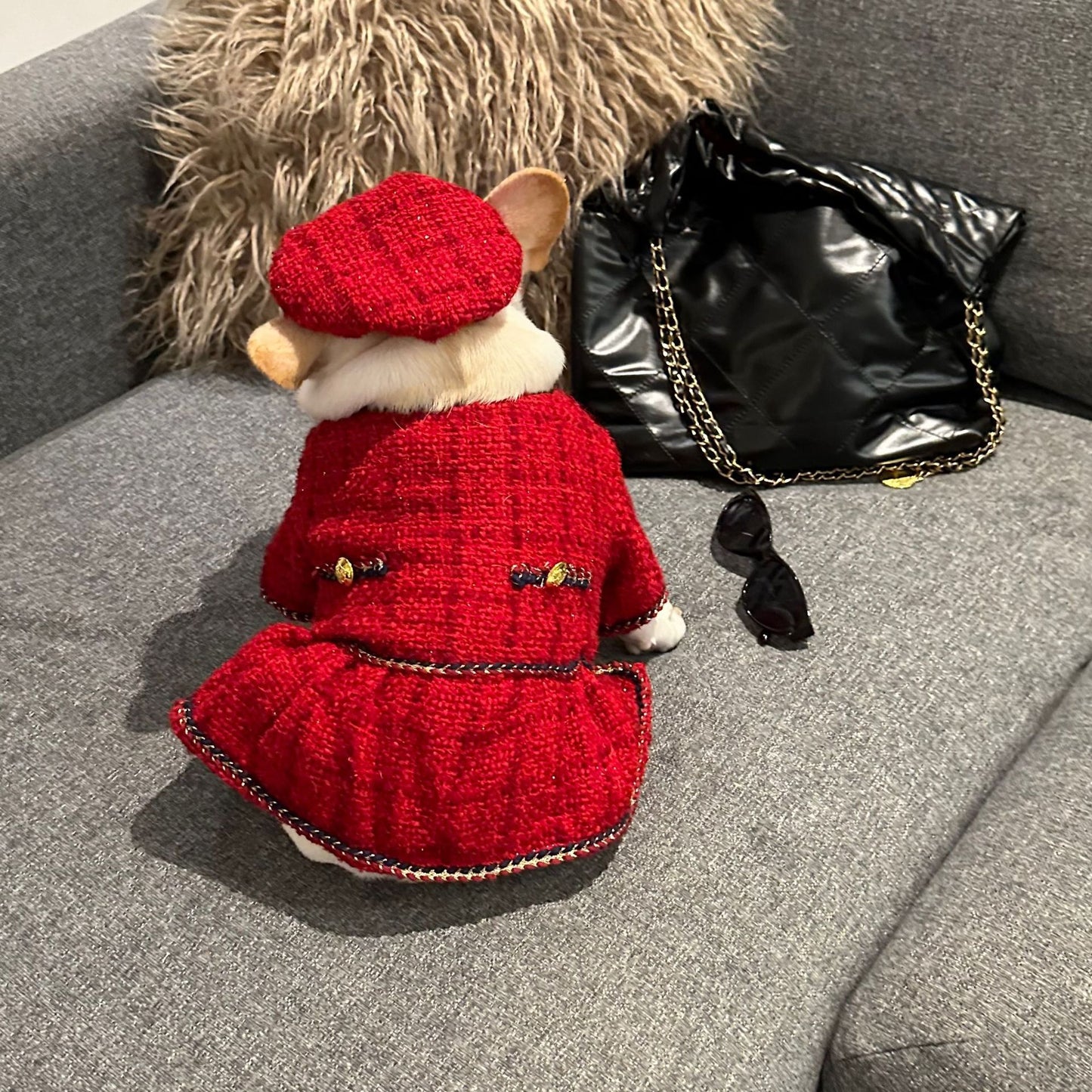 Pet Trendy Brand Popular Clothing