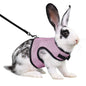 Guinea Pig Rabbit Rope Minipet Traction Vest Chest Back