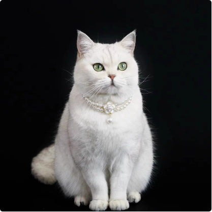 Cat Pet Jewelry Water Drop Pendant Rabbit Necklace