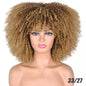 African Small Curly Hair Afro Wig Headgear