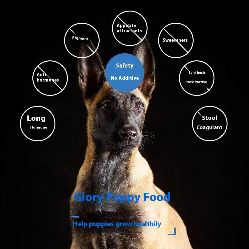 Meat Military Police Puppy Training Grain Increase Muscle Bone Strengthener
