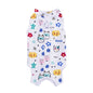Cat Sterilization Clothing Post-operation Printing Series Four Seasons